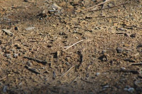 Dirt Stock Photos