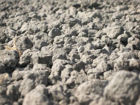 Dirt Stock Photos