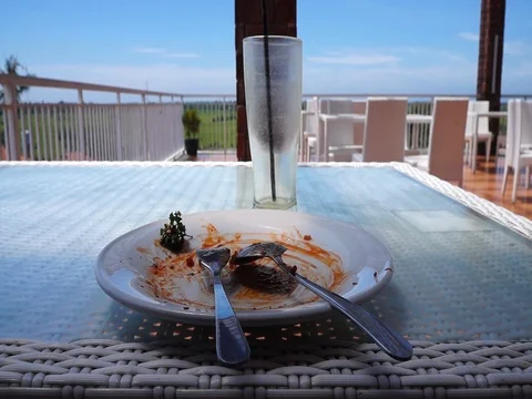 Dirt plate Video stock 87675151