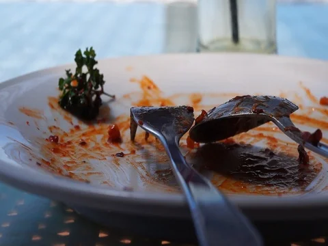 Dirt plate Video stock 87675309