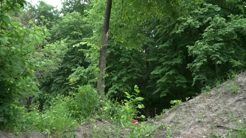 Dirt rider making cool tricks on bike in the forest slow motion Stock Footage 77226157