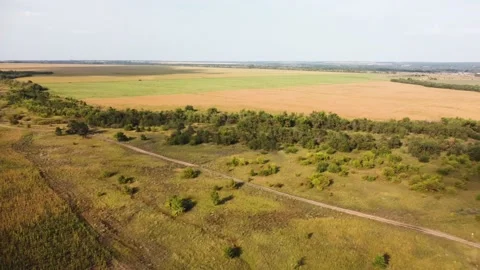 Dirt road among autumn fields and blue sky from a height Stock Footage 201964637