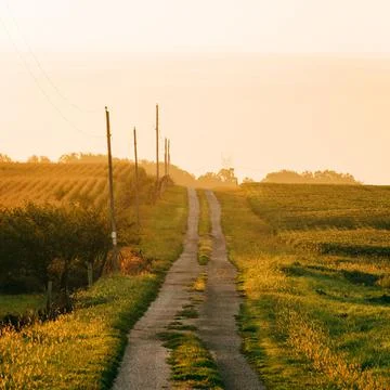 Dirt road and corn fields at sunrise, near Route 66 in Towanda, Illinois Stock Photos
