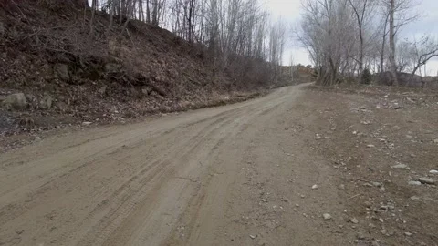 Dirt road and trees Stockbeeldmateriaal 237714143