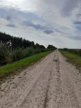 A dirt road between agricultural fields, bordered by windbreaks. Stock Photos