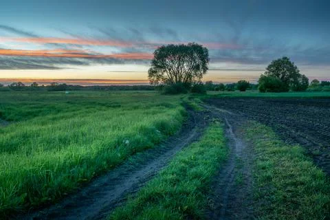 Dirt road between fields and evening sky Stock Photos