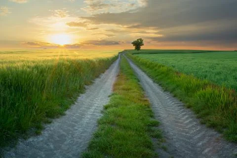 Dirt road between fields and sunset, picturesque eastern Poland Stock Photos
