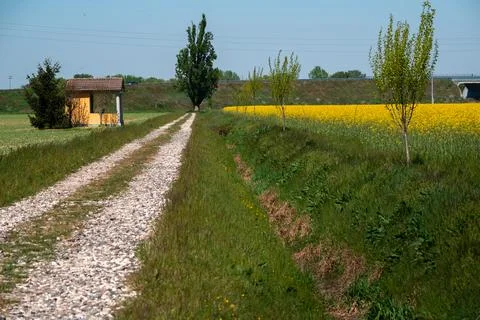 Dirt road between green fields in spring Stock Photos