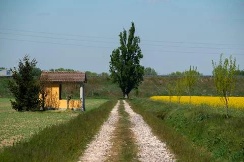 Dirt road between green fields in spring Stock Photos