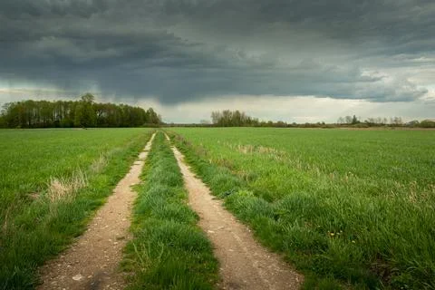 A dirt road between green fields and a cloudy sky. 库存照片