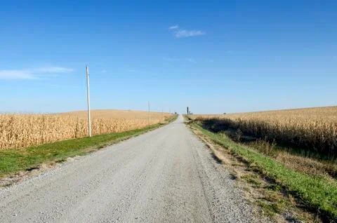 Dirt Road Between Massive Corn Fields Under Blue Sky Stock Photos