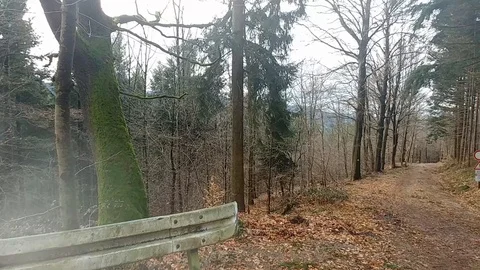 Dirt road in the Black Forest Stock Footage 90032137