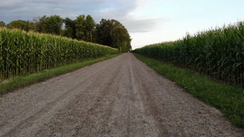 Dirt Road at a Corn Farm Stock Footage 141141173