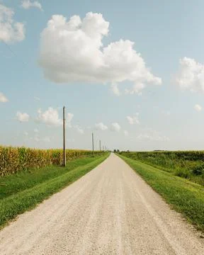Dirt road with corn fields in a rural area of Illinois Stock Photos
