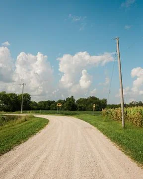 Dirt road with corn fields in a rural area of Illinois Stock Photos