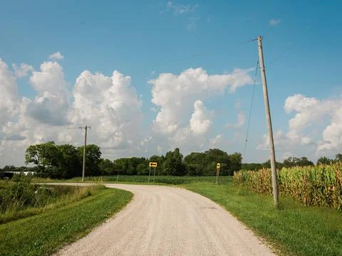 Dirt road with corn fields in a rural area of Illinois Stock Photos