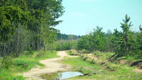 Dirt road in the countryside 스톡 동영상 342595133