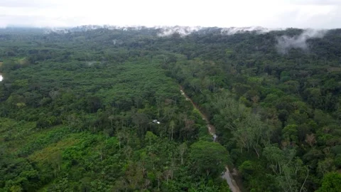 Dirt Road Cutting Through the Amazon Rainforest From Above Stock Footage 344060638