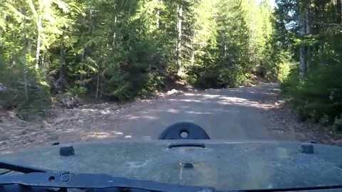 Dirt Road Driving Stock Footage 172448460