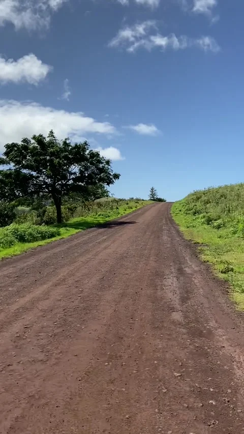 Dirt road in Easter Island Video stock 342842250