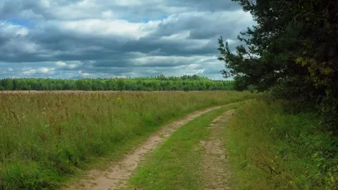 Dirt road on field. Path Through Ages, Vehicle Rut, Pine Tree Spectrum, Forest Stock Footage 257780859