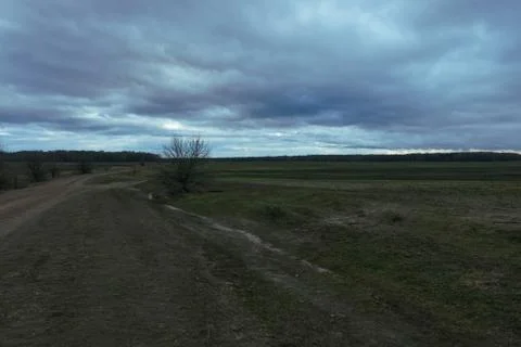 Dirt road in the fields on a cloudy evening. A small stunted tree. Stock Photos