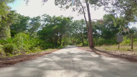 Dirt road in Florida! Stock Footage 155294189