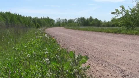 Dirt road Vídeo Stock 11135821