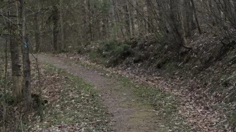 Dirt Road Video stock 20496315