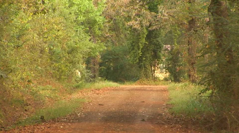 Dirt Road Stock-Footage 33604168