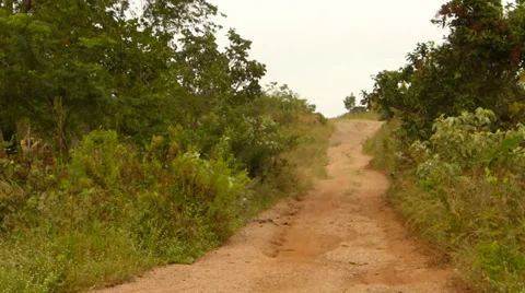 Dirt road 動画素材 37712105