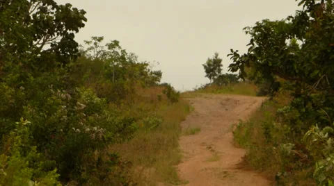 Dirt road 動画素材 38024047