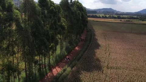 Dirt road Stock Footage 237907153