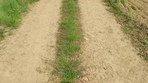 Dirt road Stock Footage 272475013