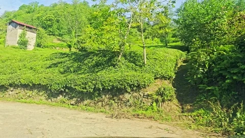 A dirt road that is. Video stock 282971888