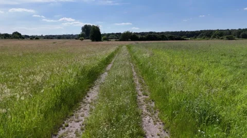 A dirt road Stock Footage 285926922