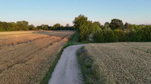 A dirt road Stock Footage 285927145