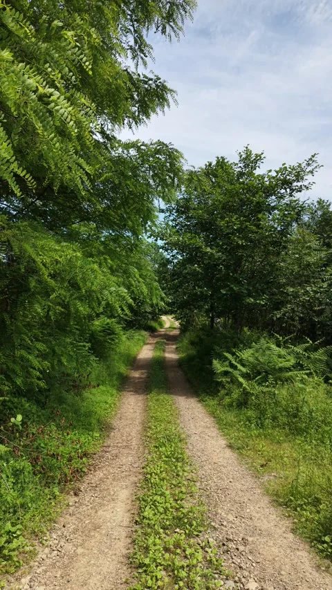 Dirt road Stock Footage 340527429