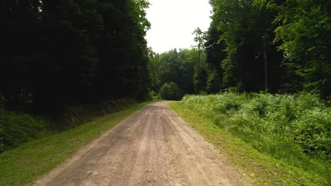 Dirt road in the forest. The camera moves forward. On the sides there is a green Stock Footage 274446856