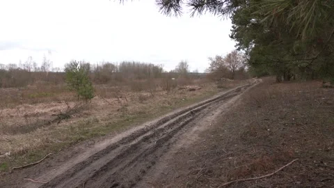 Dirt road in the forest in early spring. Video stock 126747947