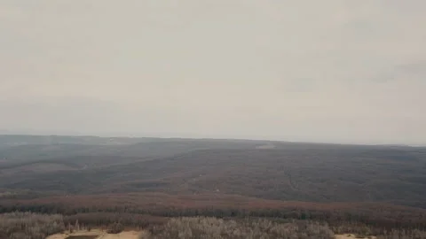 Dirt road in the forest Stock Footage 104955680