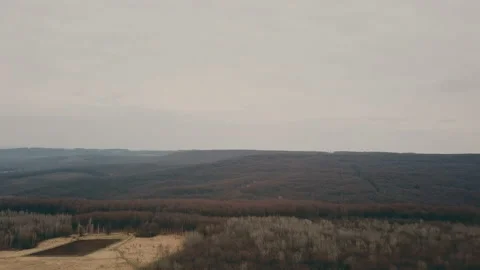 Dirt road in the forest Stock Footage 105314079