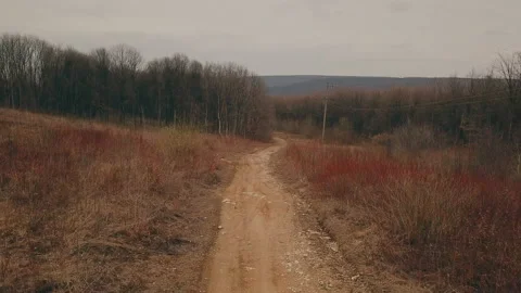 Dirt road in the forest Stock Footage 105476418