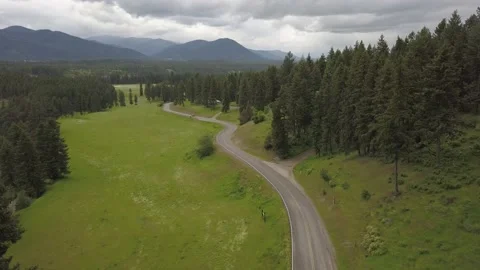 Dirt road in the forest Stock Footage 166330281