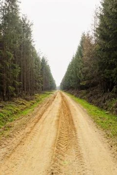 Dirt road in the forest Stock Photos