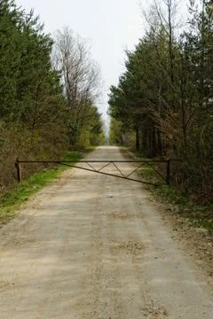 Dirt road of the forest Stock Photos