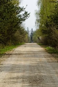 Dirt road in the forest Stock Photos