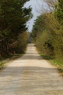 Dirt road in the forest Stock Photos