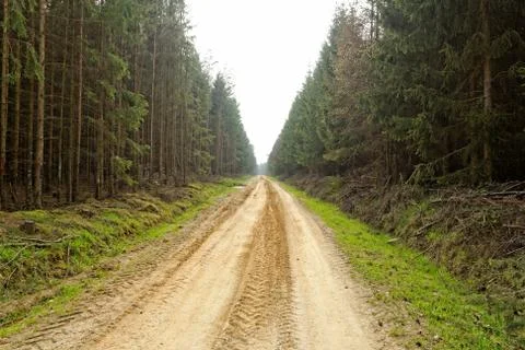 Dirt road in the forest Stock Photos
