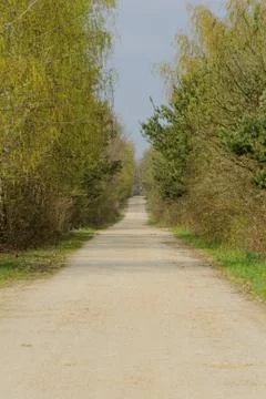 Dirt road in the forest Stock Photos